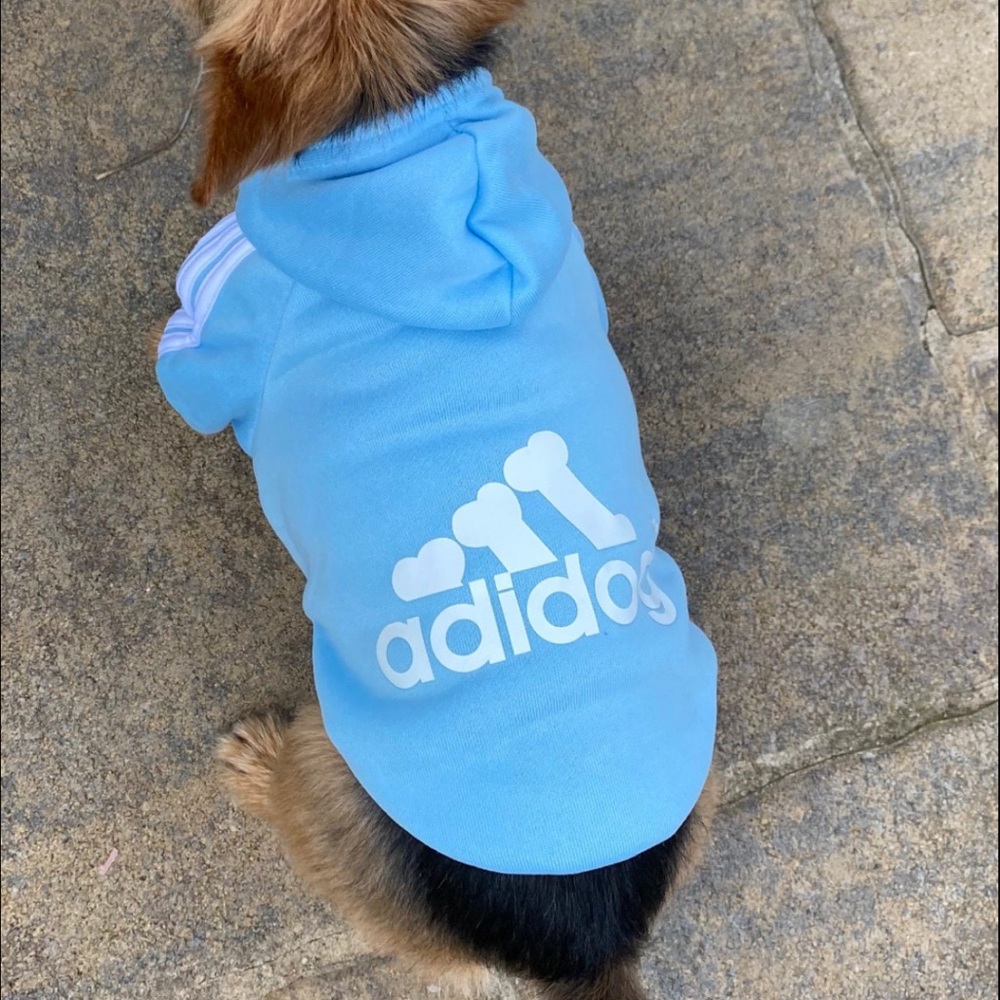 COPY - Adidog hoodie